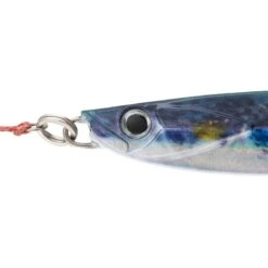 CASTING JIG BIASTOS ASSIST 40gr MULLET Pêche Au Leurre En Mer 8 CASTING JIG BIASTOS ASSIST 40gr MULLET Pêche Au Leurre En Mer -Pêche Soldes Boutique casting jig biastos assist 40gr mullet peche au leurre en mer 1