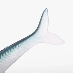 COMBO Leurres Souples Slug SLUGEELO 160 Ayu/Bleu -Pêche Soldes Boutique combo leurres souples slug slugeelo 160 ayubleu 4