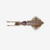 Savage Gear Leurre De Pêche En Mer 3D SWIM SQUID 12.5 CM CUTTLEFISH 1 Savage Gear Leurre De Pêche En Mer 3D SWIM SQUID 12.5 CM CUTTLEFISH -Pêche Soldes Boutique leurre de peche en mer 3d swim squid 125 cm cuttlefish